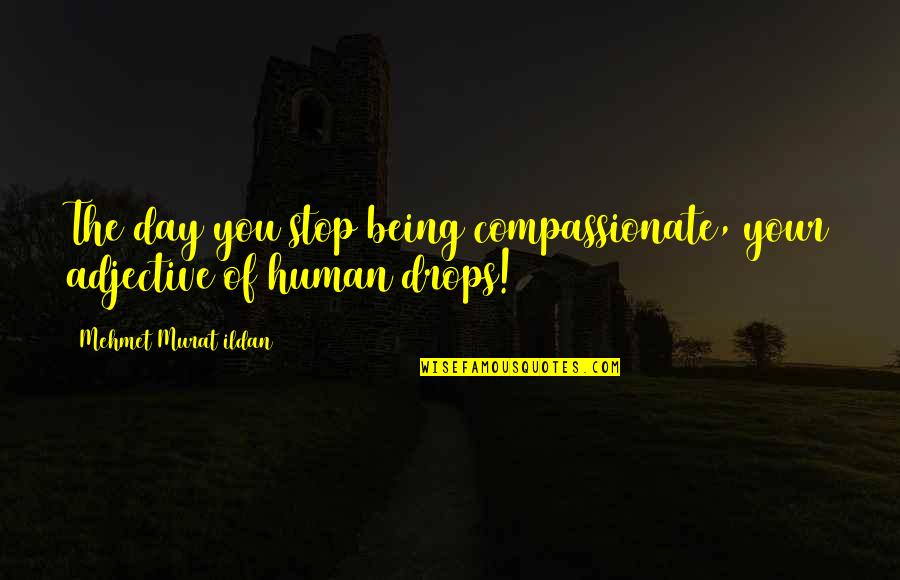 Albert Fert Quotes By Mehmet Murat Ildan: The day you stop being compassionate, your adjective Albert Fert Quotes By Mehmet Murat Ildan: The day you stop being compassionate, your adjective