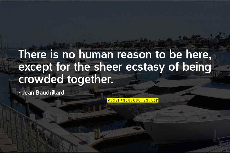 Albert Hirschman Quotes By Jean Baudrillard: There is no human reason to be here,