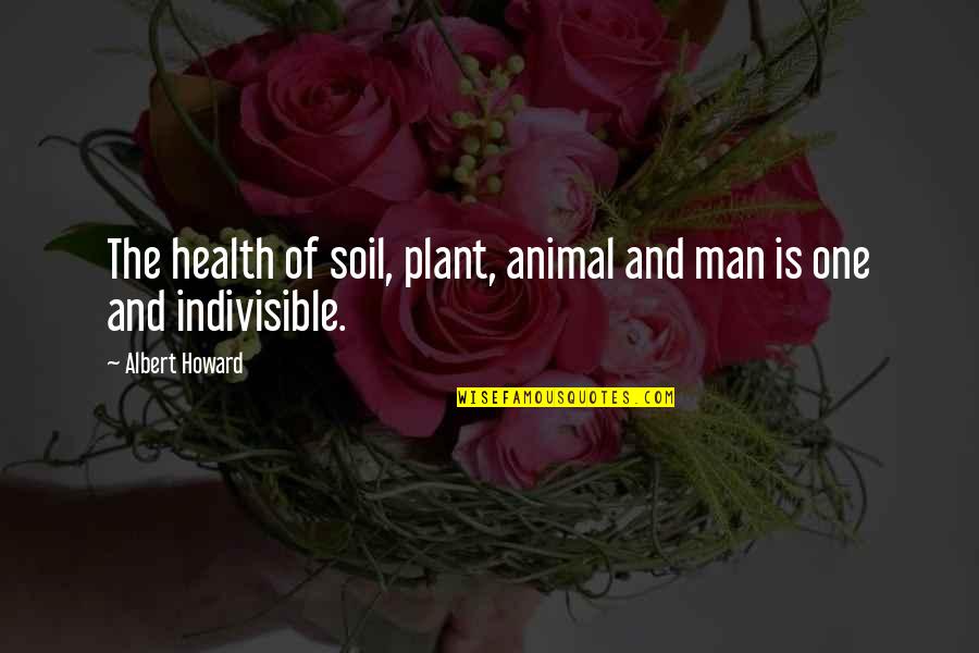 Albert Howard Quotes By Albert Howard: The health of soil, plant, animal and man