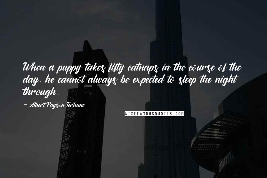Albert Payson Terhune quotes: When a puppy takes fifty catnaps in the course of the day, he cannot always be expected to sleep the night through. Albert Payson Terhune quotes: When a puppy takes fifty catnaps in the course of the day, he cannot always be expected to sleep the night through.
