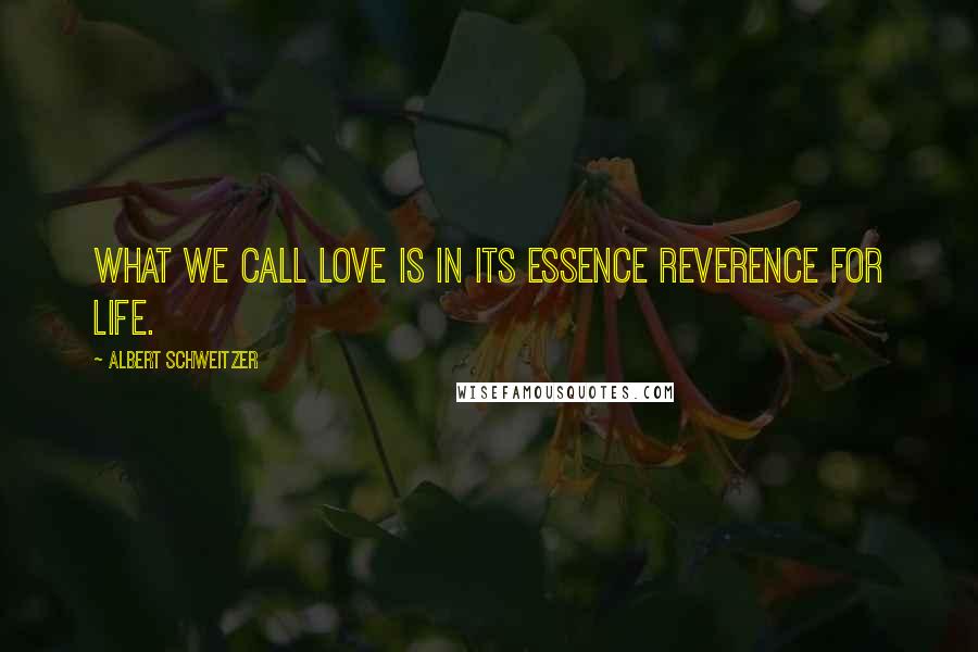 Albert Schweitzer quotes: What we call love is in its essence reverence for life.