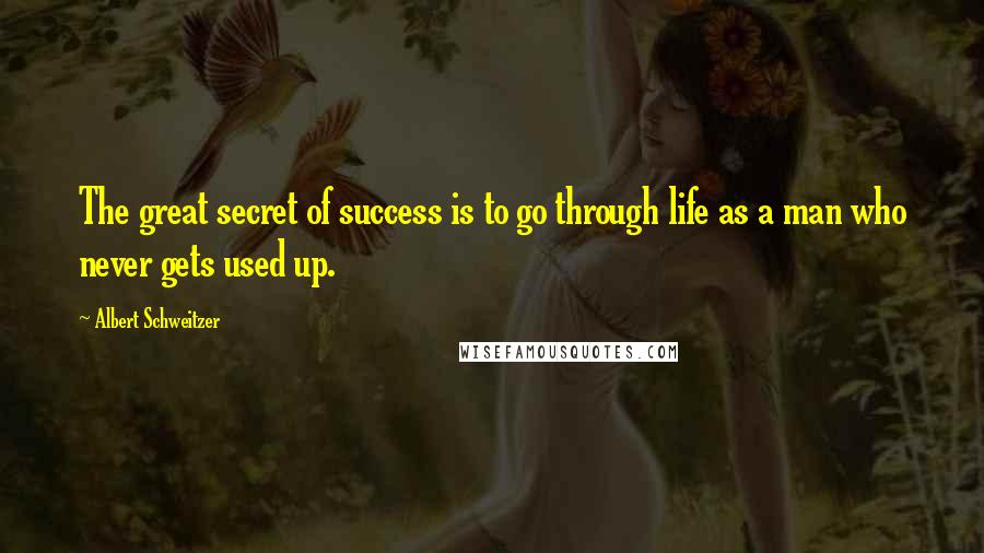 Albert Schweitzer quotes: The great secret of success is to go through life as a man who never gets used up.