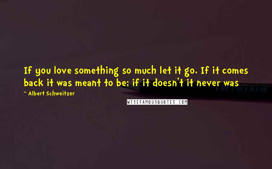Albert Schweitzer quotes: If you love something so much let it go. If it comes back it was meant to be; if it doesn't it never was