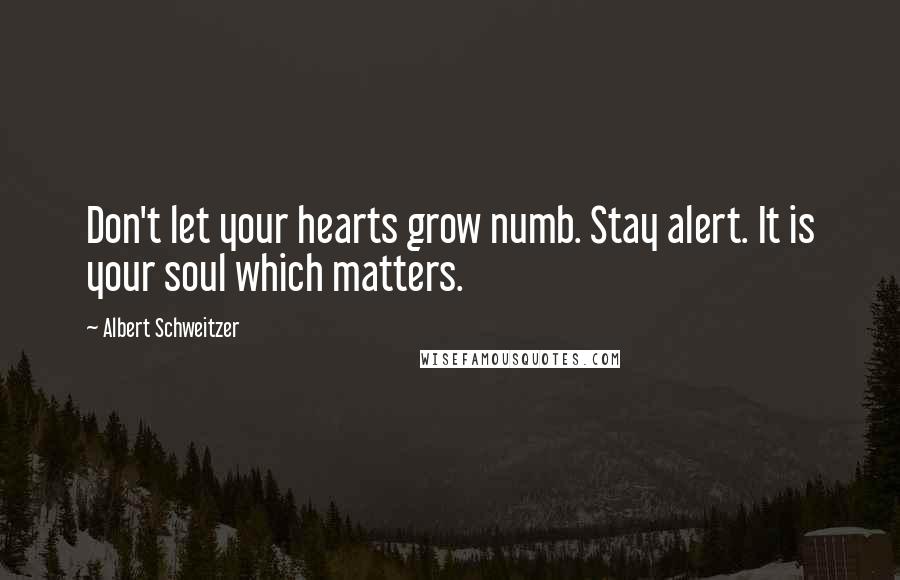 Albert Schweitzer quotes: Don't let your hearts grow numb. Stay alert. It is your soul which matters.