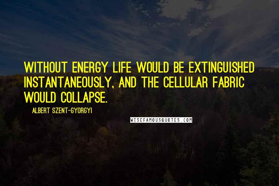Albert Szent-Gyorgyi quotes: Without energy life would be extinguished instantaneously, and the cellular fabric would collapse.