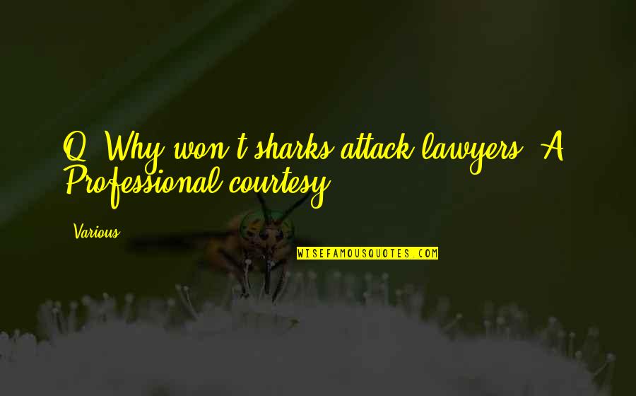 Alberti Quotes By Various: Q: Why won't sharks attack lawyers? A: Professional