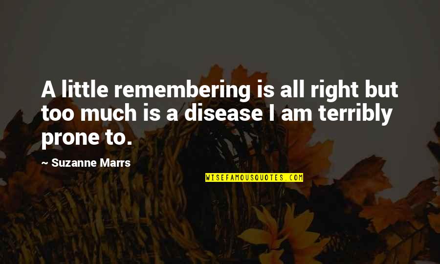 Albertinos Ocean Quotes By Suzanne Marrs: A little remembering is all right but too