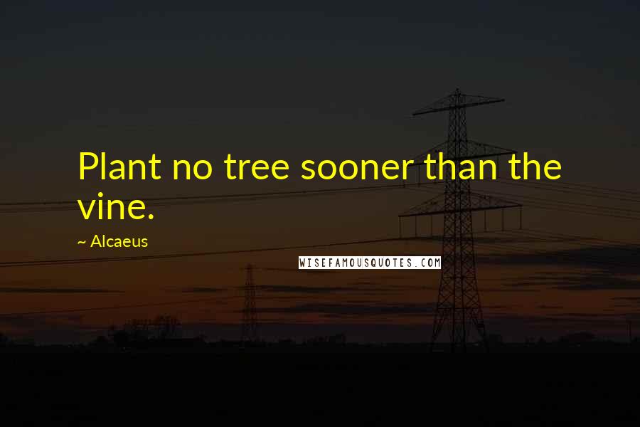 Alcaeus quotes: Plant no tree sooner than the vine.