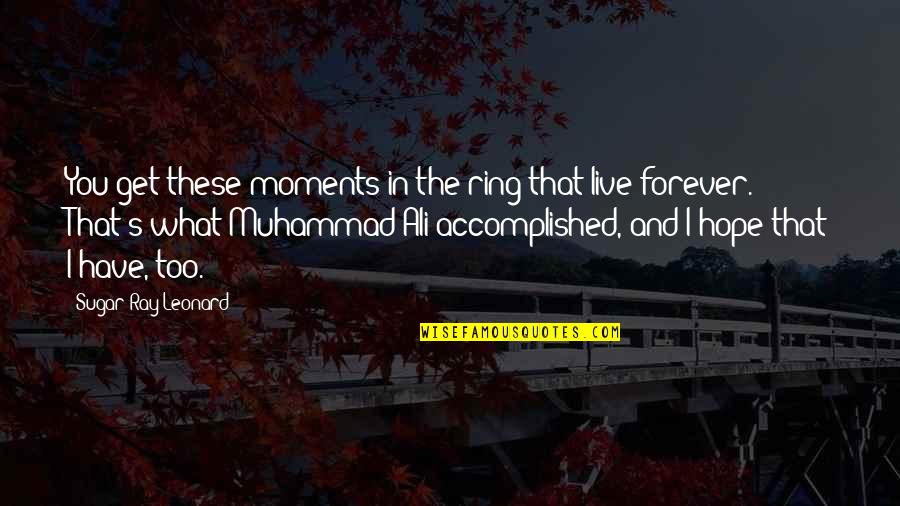 Alcance Descriptivo Quotes By Sugar Ray Leonard: You get these moments in the ring that Alcance Descriptivo Quotes By Sugar Ray Leonard: You get these moments in the ring that