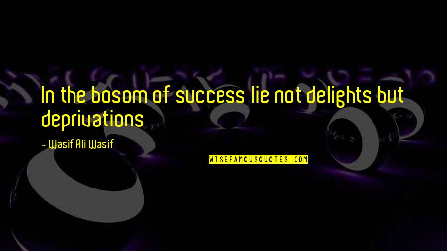 Alcatuit Quotes By Wasif Ali Wasif: In the bosom of success lie not delights