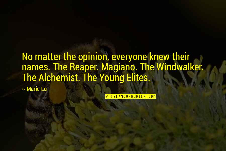 Alchemist Alchemist Quotes By Marie Lu: No matter the opinion, everyone knew their names.