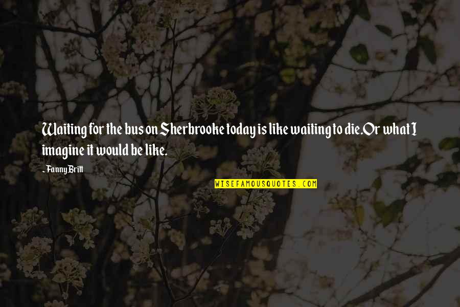 Alchemize Llc Quotes By Fanny Britt: Waiting for the bus on Sherbrooke today is Alchemize Llc Quotes By Fanny Britt: Waiting for the bus on Sherbrooke today is