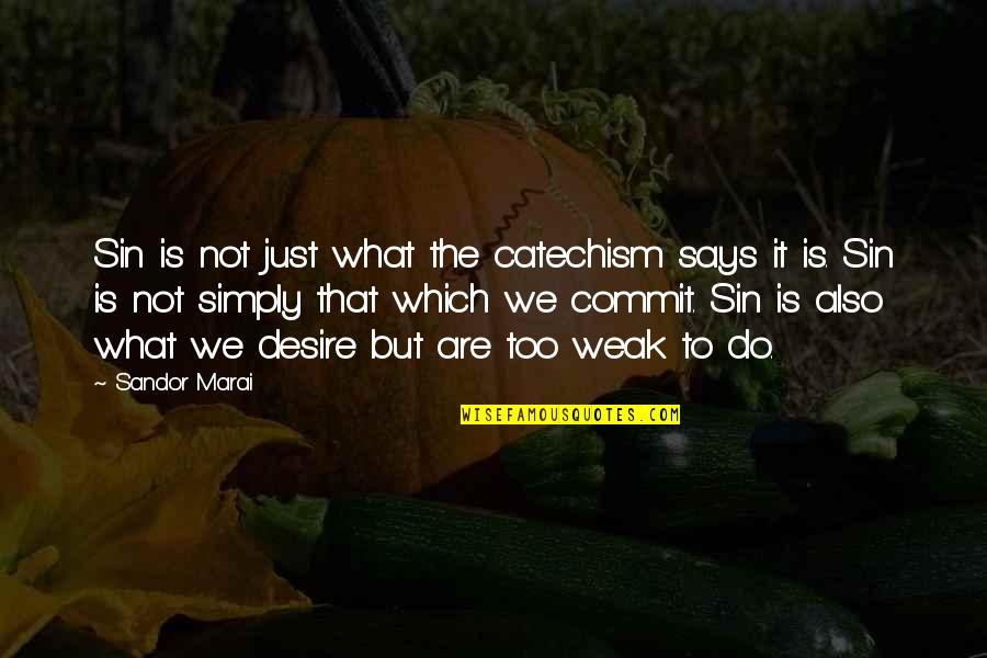 Alcidamas On The Sophists Quotes By Sandor Marai: Sin is not just what the catechism says Alcidamas On The Sophists Quotes By Sandor Marai: Sin is not just what the catechism says