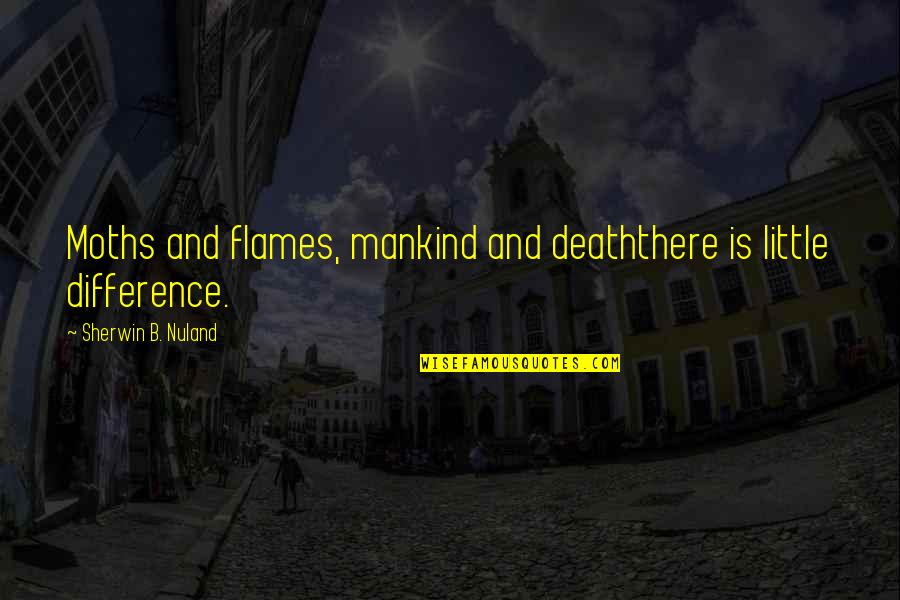 Alcmaeon Pronunciation Quotes By Sherwin B. Nuland: Moths and flames, mankind and deaththere is little Alcmaeon Pronunciation Quotes By Sherwin B. Nuland: Moths and flames, mankind and deaththere is little