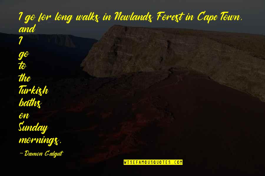 Alco Quotes By Damon Galgut: I go for long walks in Newlands Forest