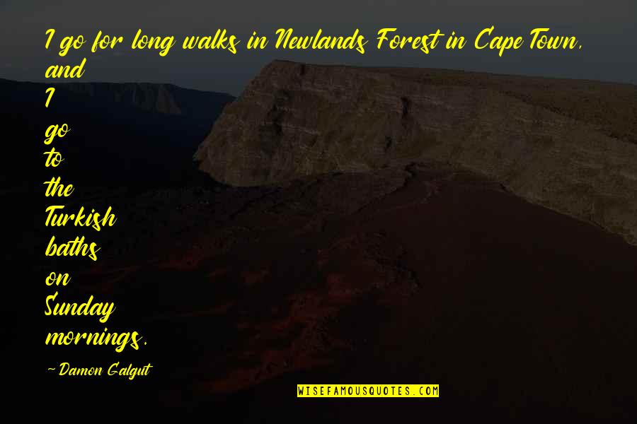 Alco Quotes By Damon Galgut: I go for long walks in Newlands Forest Alco Quotes By Damon Galgut: I go for long walks in Newlands Forest