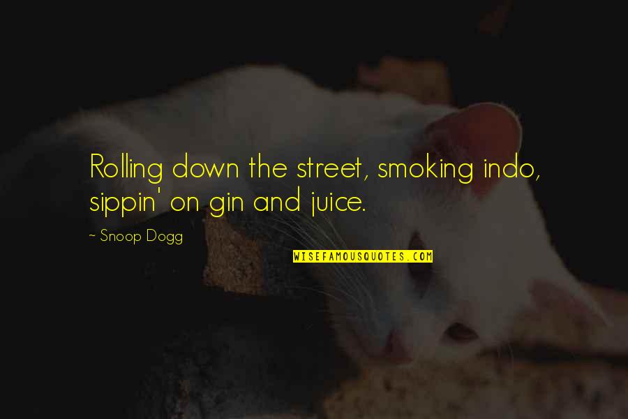 Alcohol And Smoking Quotes By Snoop Dogg: Rolling down the street, smoking indo, sippin' on