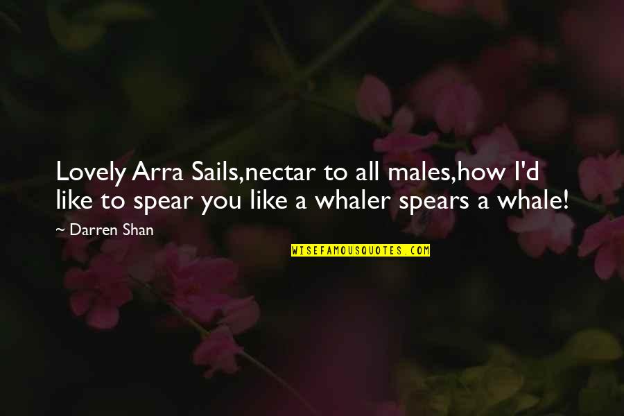 Alcoholic Motivational Quotes By Darren Shan: Lovely Arra Sails,nectar to all males,how I'd like