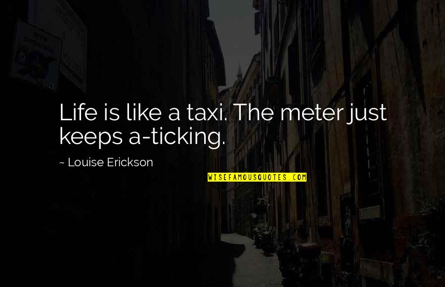 Alcoholiday Quotes By Louise Erickson: Life is like a taxi. The meter just
