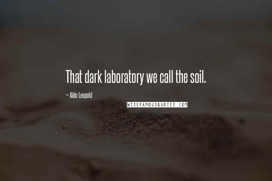 Aldo Leopold quotes: That dark laboratory we call the soil.