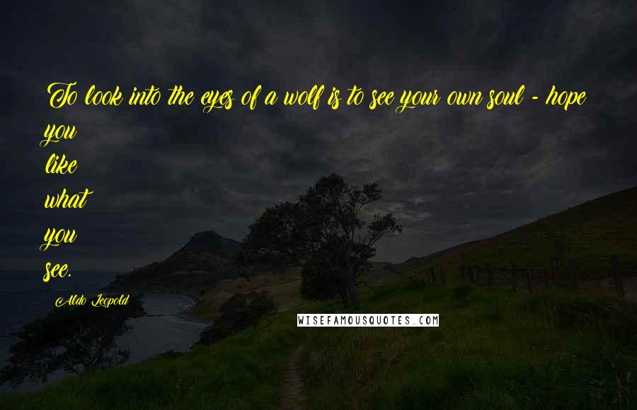 Aldo Leopold quotes: To look into the eyes of a wolf is to see your own soul - hope you like what you see.