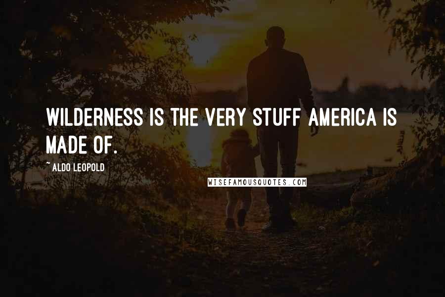Aldo Leopold quotes: Wilderness is the very stuff America is made of.