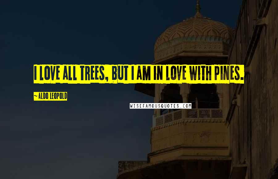 Aldo Leopold quotes: I love all trees, but I am in love with pines.