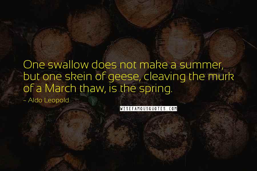 Aldo Leopold quotes: One swallow does not make a summer, but one skein of geese, cleaving the murk of a March thaw, is the spring.