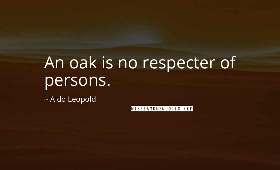 Aldo Leopold quotes: An oak is no respecter of persons.