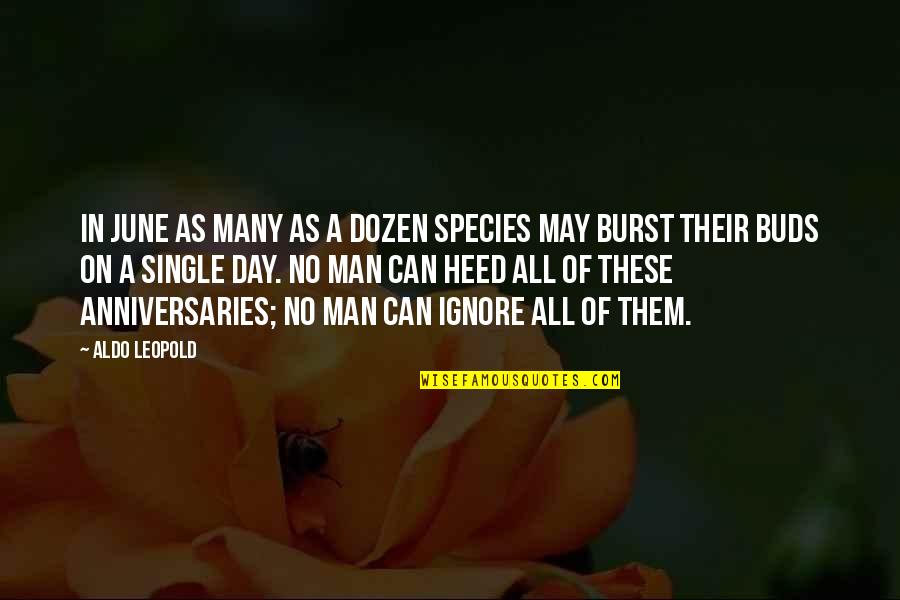 Aldo Leopold Quotes By Aldo Leopold: In June as many as a dozen species Aldo Leopold Quotes By Aldo Leopold: In June as many as a dozen species