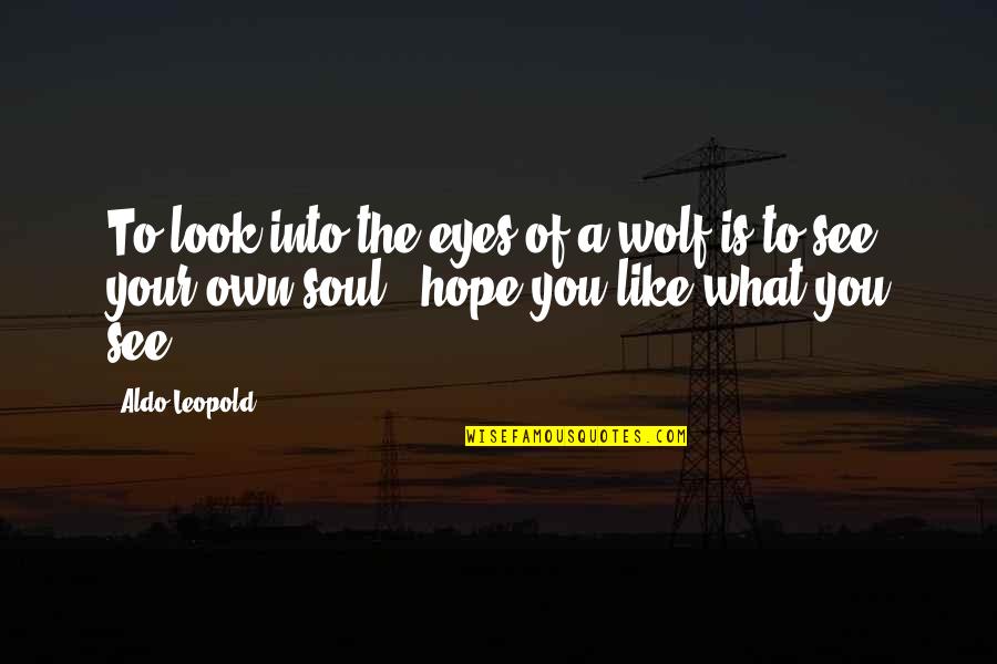 Aldo Leopold Quotes By Aldo Leopold: To look into the eyes of a wolf