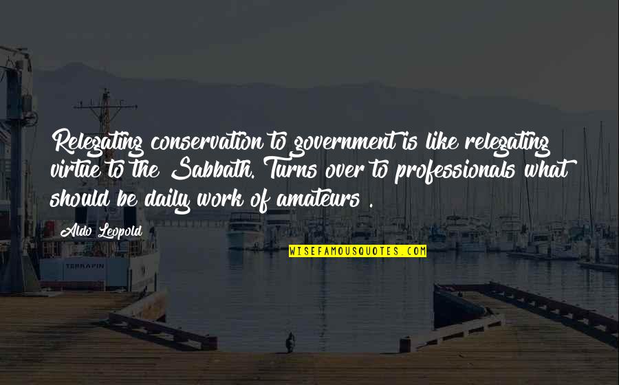 Aldo Leopold Quotes By Aldo Leopold: Relegating conservation to government is like relegating virtue Aldo Leopold Quotes By Aldo Leopold: Relegating conservation to government is like relegating virtue