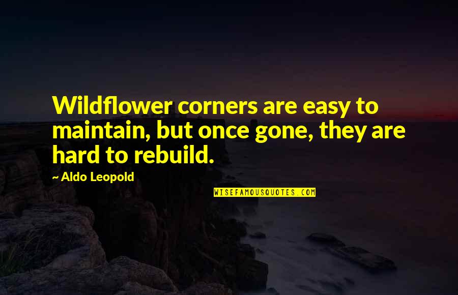 Aldo Leopold Quotes By Aldo Leopold: Wildflower corners are easy to maintain, but once Aldo Leopold Quotes By Aldo Leopold: Wildflower corners are easy to maintain, but once
