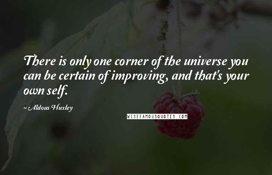Aldous Huxley quotes: There is only one corner of the universe you can be certain of improving, and that's your own self.