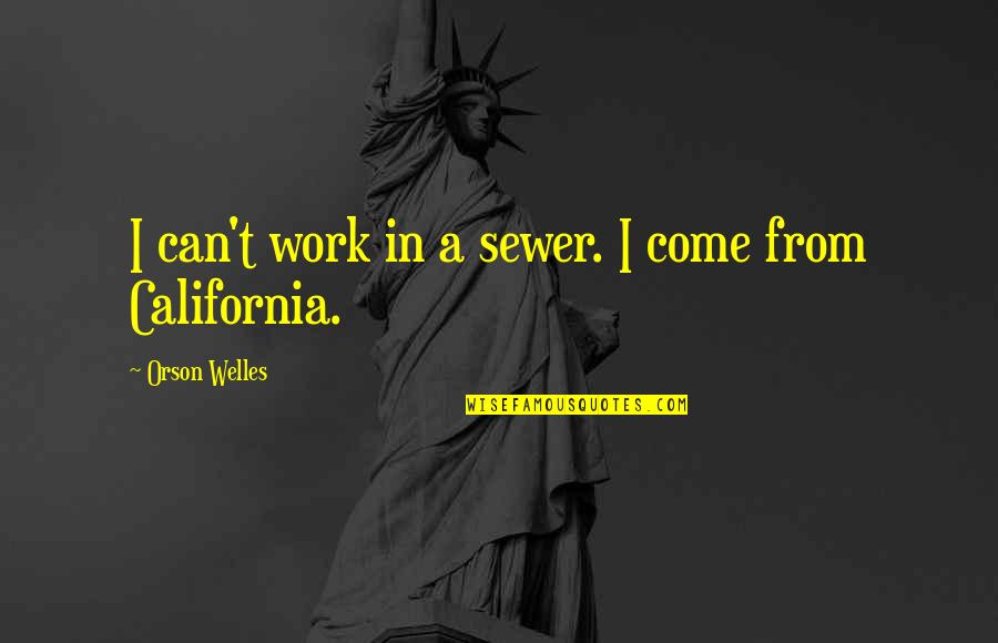 Aldron Anchinges Quotes By Orson Welles: I can't work in a sewer. I come Aldron Anchinges Quotes By Orson Welles: I can't work in a sewer. I come