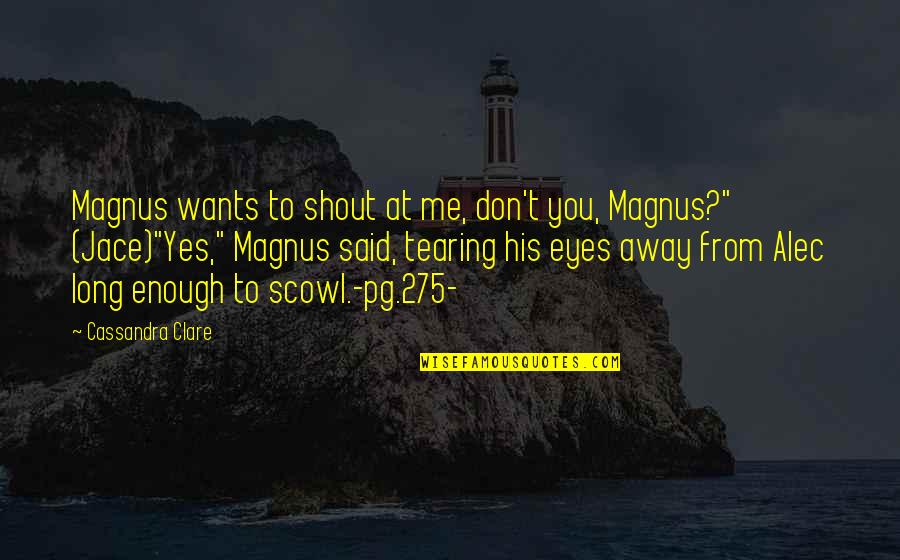 Alec And Jace Quotes By Cassandra Clare: Magnus wants to shout at me, don't you,