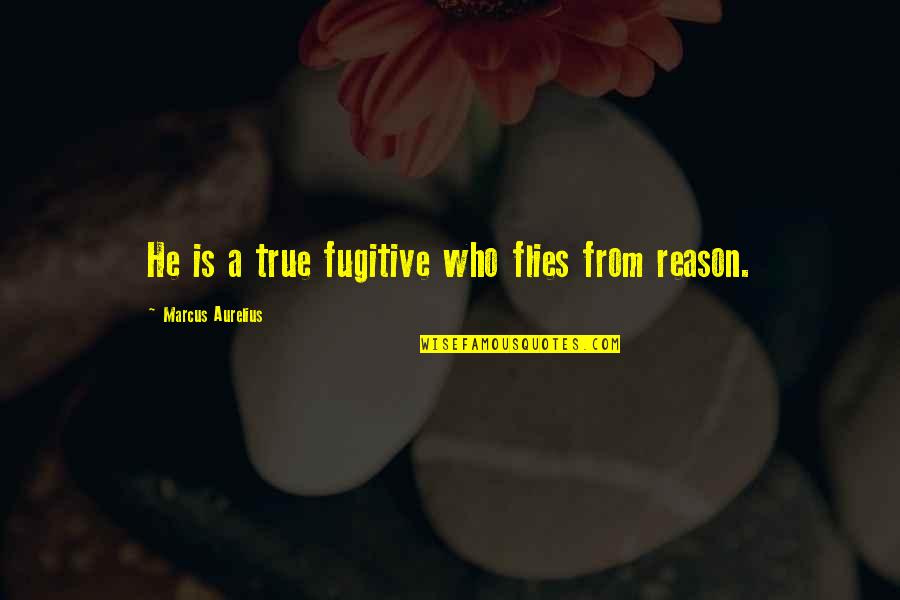 Alegran Quotes By Marcus Aurelius: He is a true fugitive who flies from