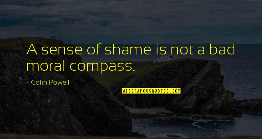 Alejamiento Social Quotes By Colin Powell: A sense of shame is not a bad