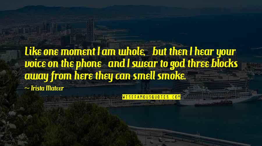Alejandria Libros Quotes By Trista Mateer: Like one moment I am whole, but then