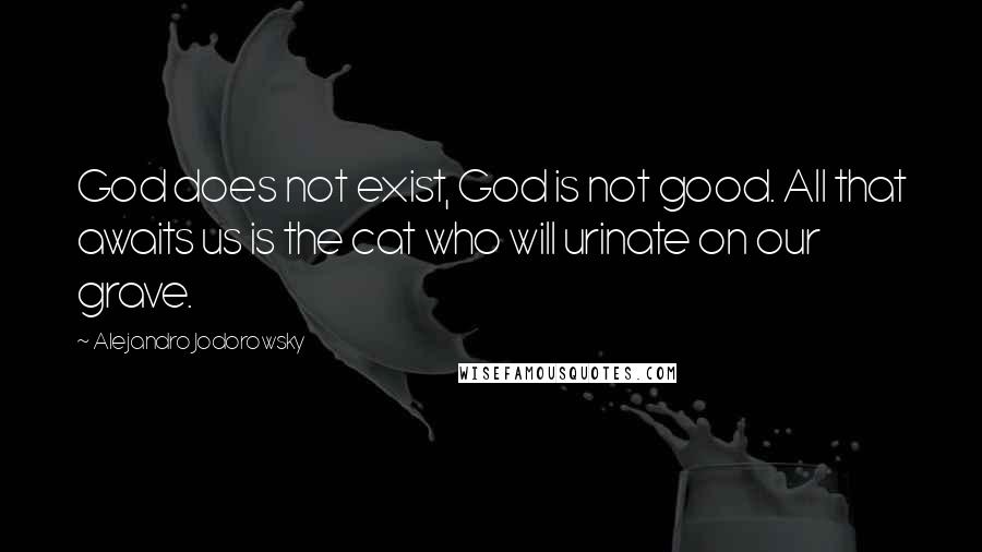 Alejandro Jodorowsky quotes: God does not exist, God is not good. All that awaits us is the cat who will urinate on our grave.