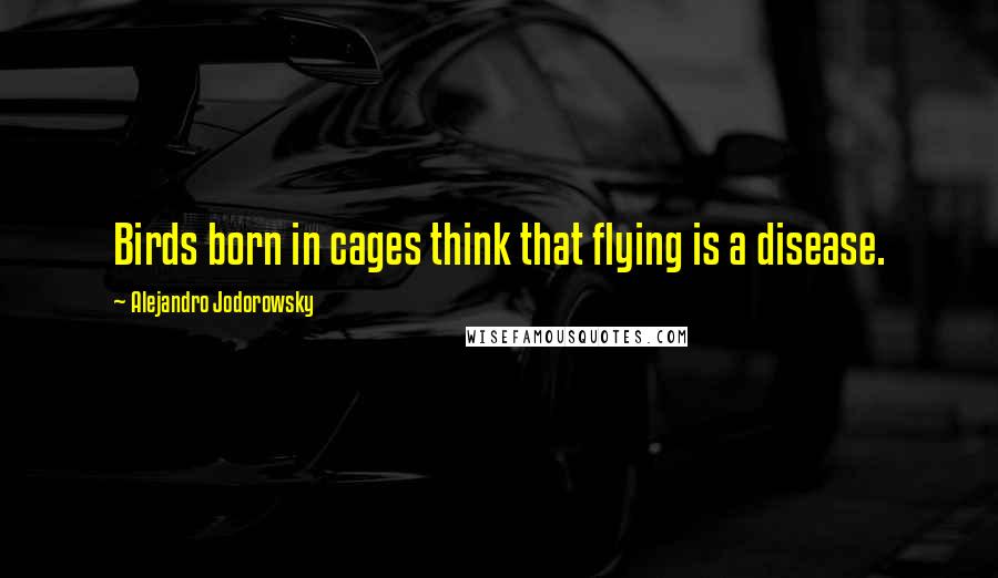 Alejandro Jodorowsky quotes: Birds born in cages think that flying is a disease.