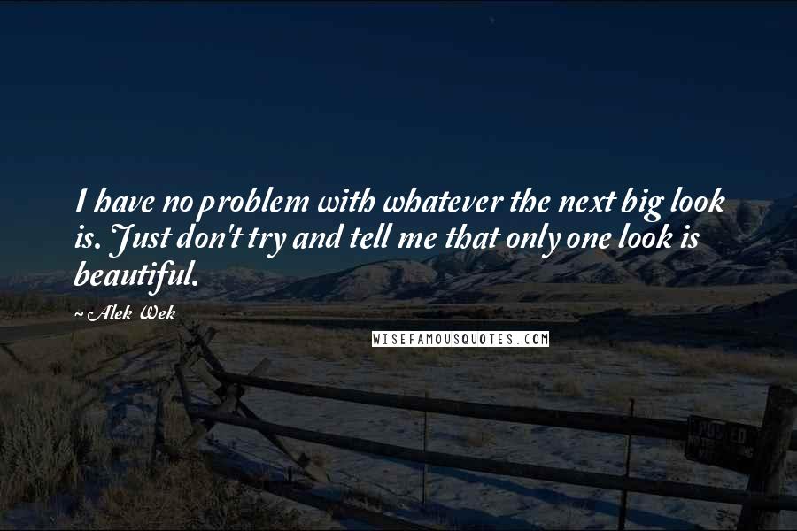 Alek Wek quotes: I have no problem with whatever the next big look is. Just don't try and tell me that only one look is beautiful. Alek Wek quotes: I have no problem with whatever the next big look is. Just don't try and tell me that only one look is beautiful.