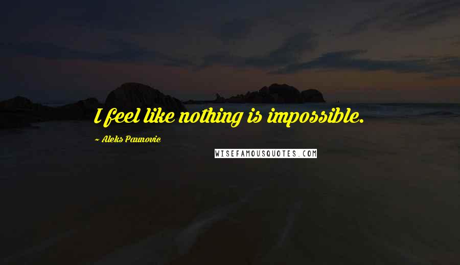 Aleks Paunovic quotes: I feel like nothing is impossible.