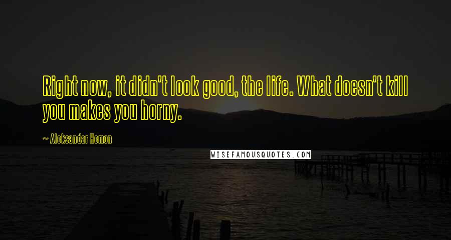 Aleksandar Hemon quotes: Right now, it didn't look good, the life. What doesn't kill you makes you horny.