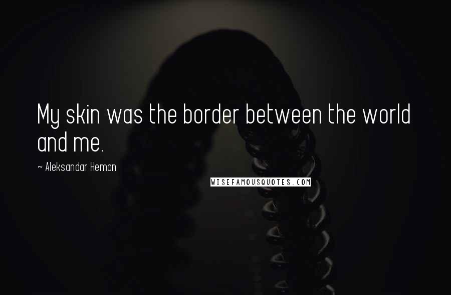 Aleksandar Hemon quotes: My skin was the border between the world and me.