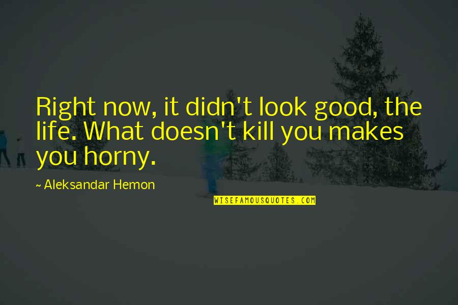 Aleksandar Hemon Quotes By Aleksandar Hemon: Right now, it didn't look good, the life.