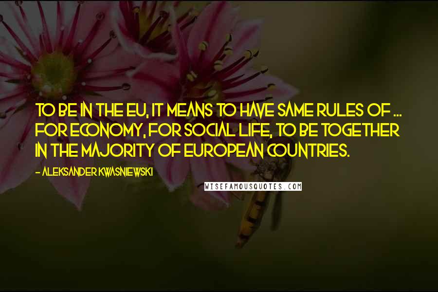 Aleksander Kwasniewski quotes: To be in the EU, it means to have same rules of ... for economy, for social life, to be together in the majority of European countries.