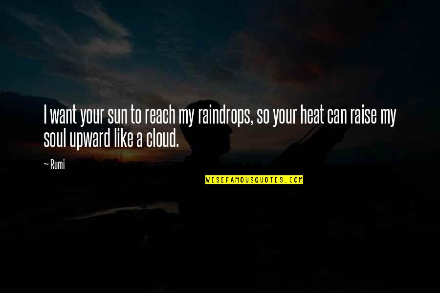 Alene Too Quotes By Rumi: I want your sun to reach my raindrops,