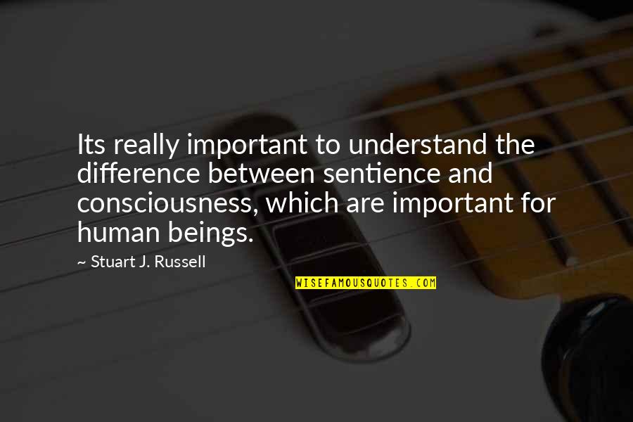 Alequinas Quotes By Stuart J. Russell: Its really important to understand the difference between