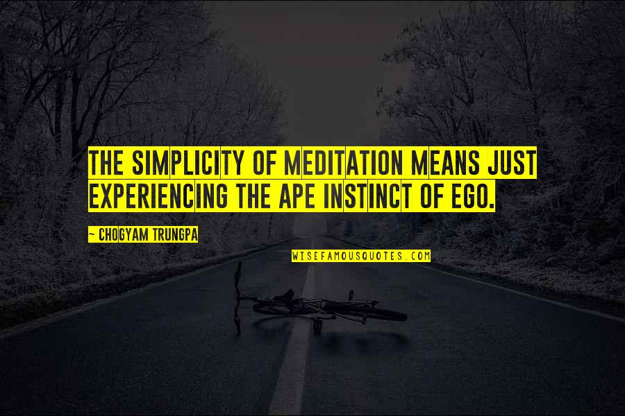Aleron Group Quotes By Chogyam Trungpa: The simplicity of meditation means just experiencing the